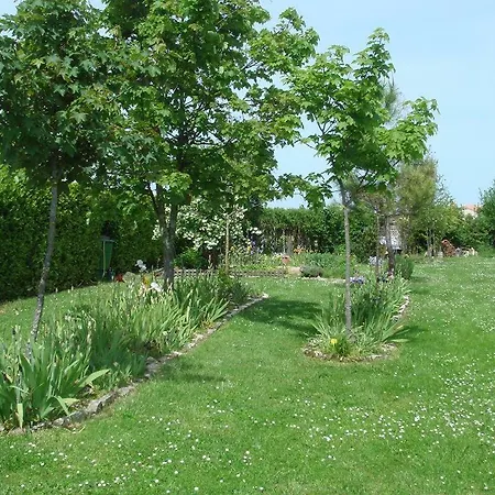 La Ferme Des Iris, Sigogne